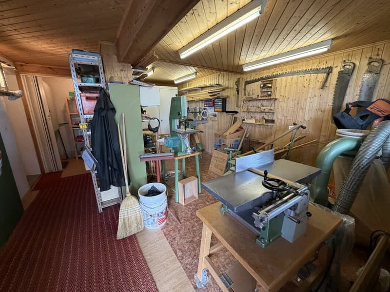Ferienhaus mit Charme, Ruhe und Weitblick im Domleschg (15)