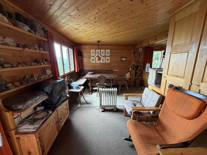 Ferienhaus mit Charme, Ruhe und Weitblick im Domleschg (7)