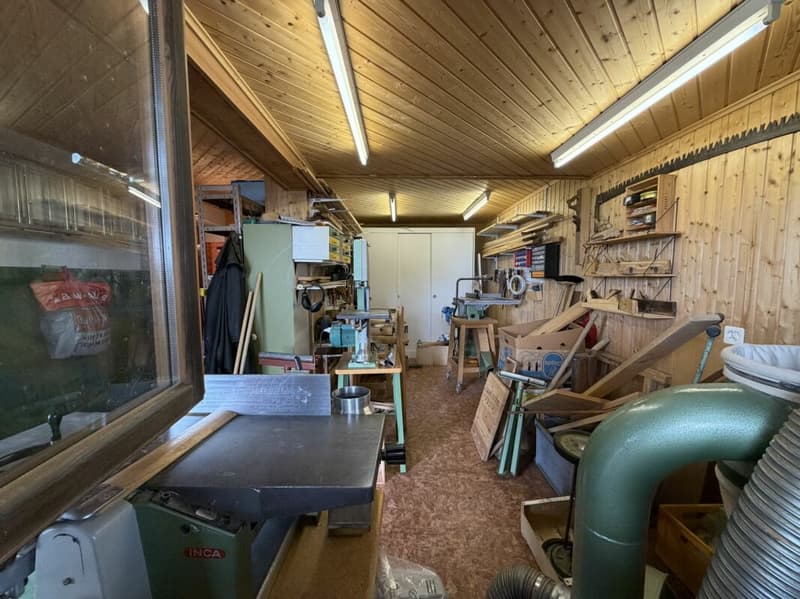 Ferienhaus mit Charme, Ruhe und Weitblick im Domleschg (16)