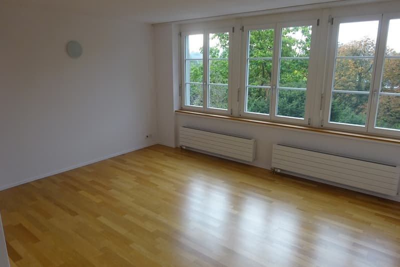 2056.01.0103.Wohnzimmer.JPG
