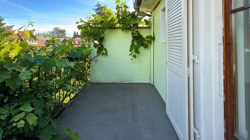 Stilvolles 6-Zimmer-Stadthaus in Basel-St. Johann (12)