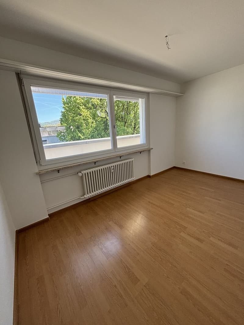Teilsanierte Attika-Wohnung mit Sicht ins Grüne (9)