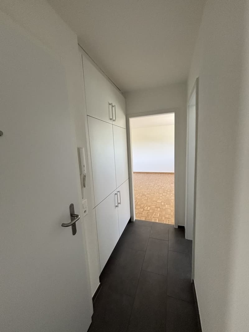 Teilsanierte Attika-Wohnung mit Sicht ins Grüne (6)