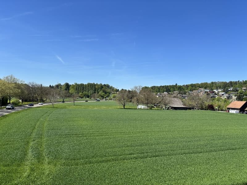 Teilsanierte Attika-Wohnung mit Sicht ins Grüne (2)