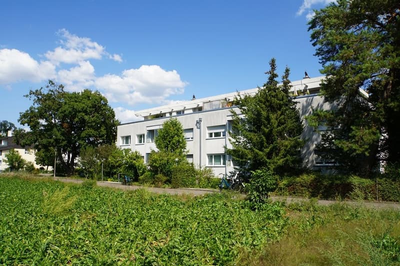 Teilsanierte Attika-Wohnung mit Sicht ins Grüne (1)