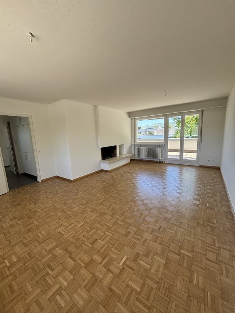 Teilsanierte Attika-Wohnung mit Sicht ins Grüne (7)
