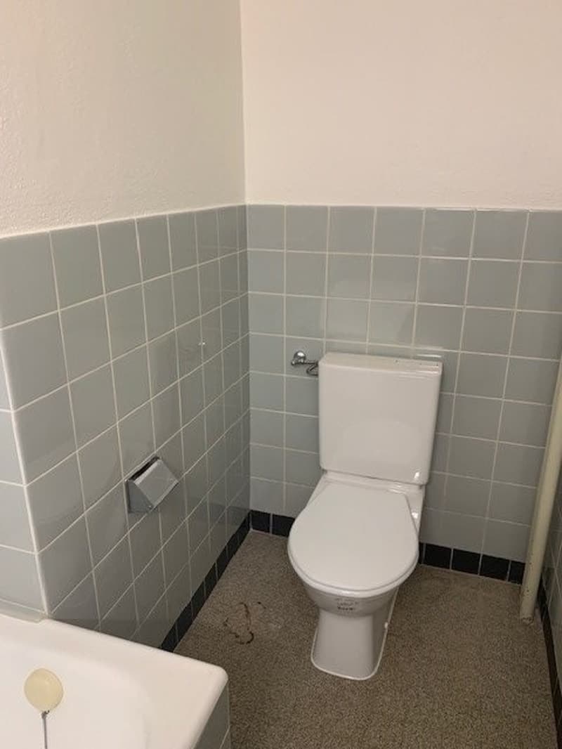 Helle 2.5-Zimmerwohnung im 4. OG nähe Voltaplatz (5)