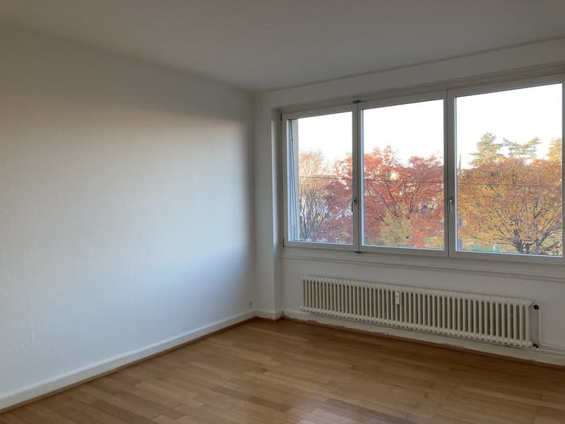 Wohnung Nähe Morgartenring (6)