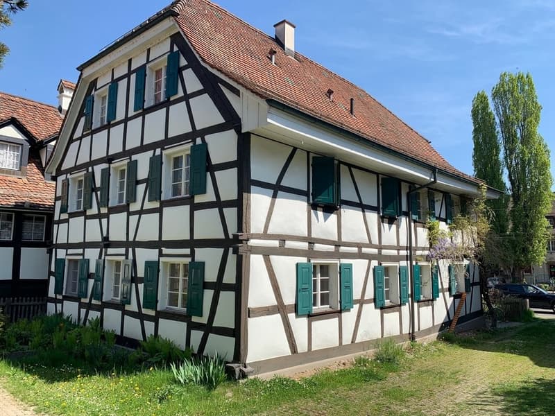 Sanierte 2-Zimmerwohnung an zentraler Lage in Allschwil (1)