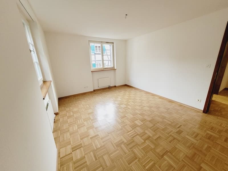 Sanierte zentrale Wohnung in Allschwil (7)