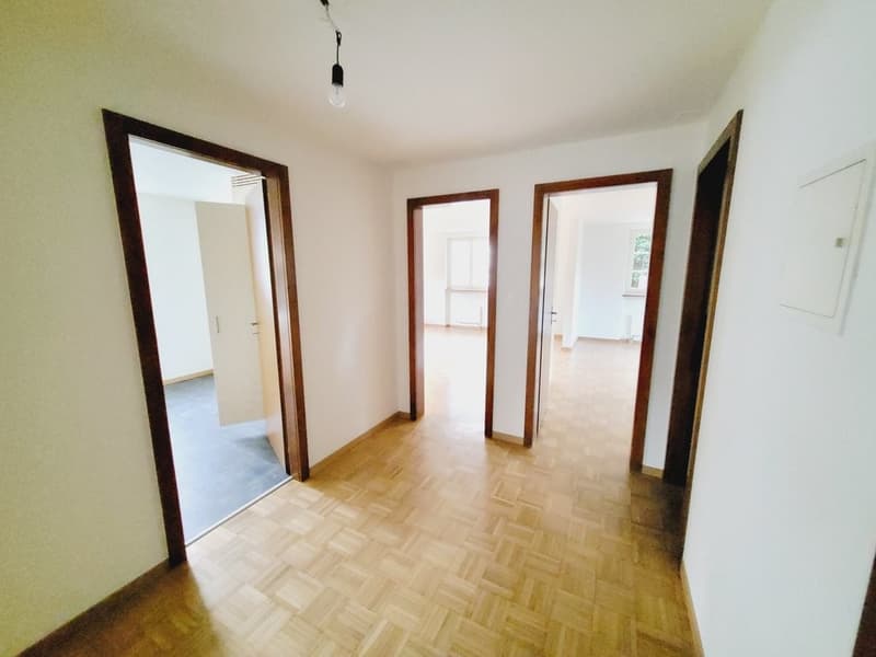 Sanierte zentrale Wohnung in Allschwil (4)