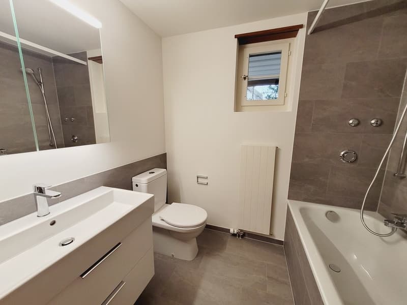 Sanierte zentrale Wohnung in Allschwil (2)