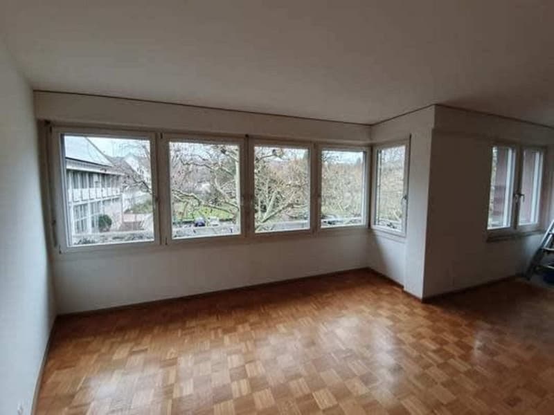 Grosszügige und helle Wohnung in Riehen (6)