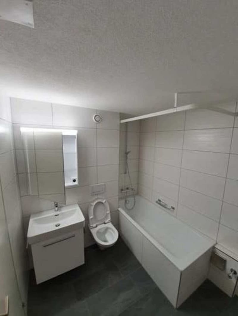 Grosszügige und helle Wohnung in Riehen (7)