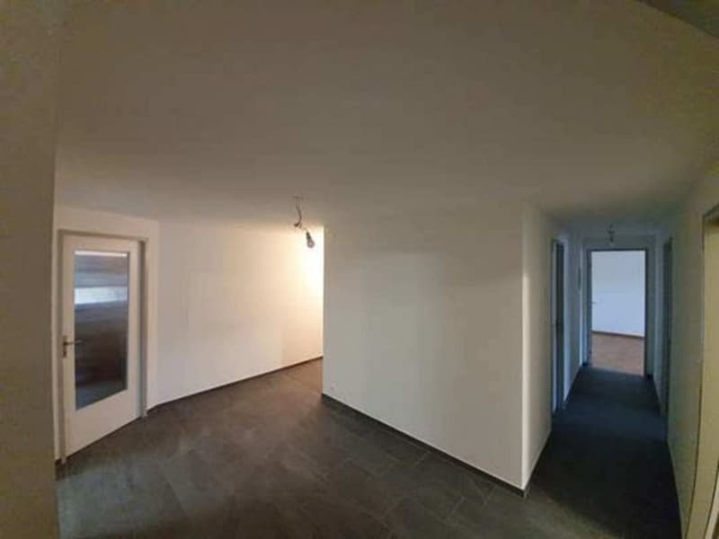 Grosszügige und helle Wohnung in Riehen (4)