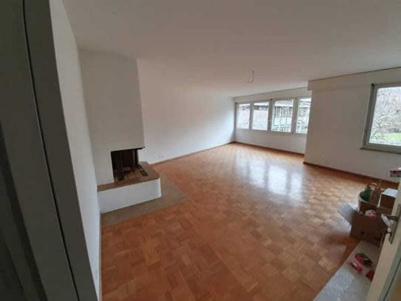 Grosszügige und helle Wohnung in Riehen (5)