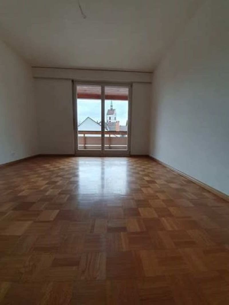 Grosszügige und helle Wohnung in Riehen (3)