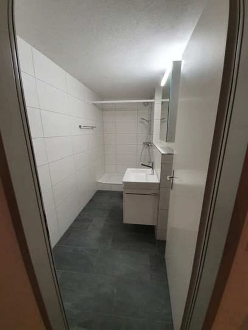 Grosszügige und helle Wohnung in Riehen (8)