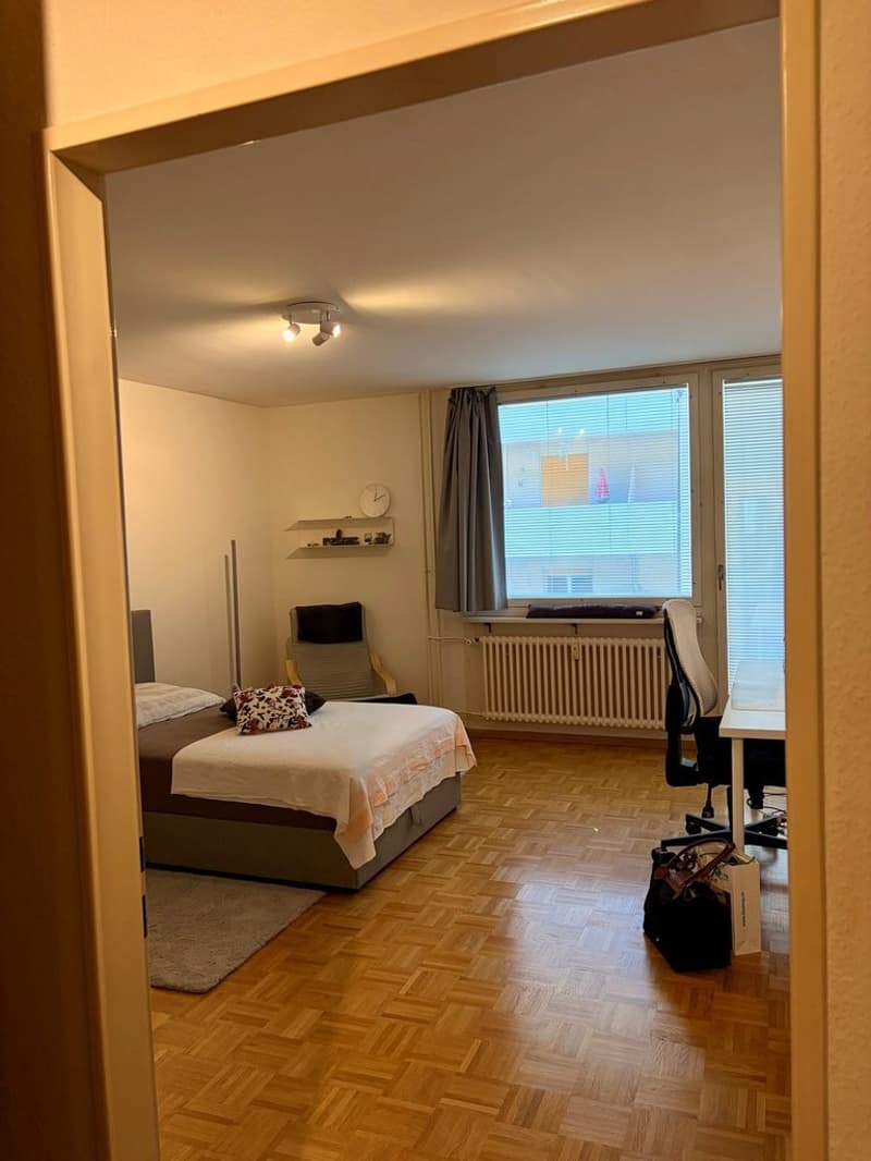 Grosszügige 1-Zimmerwohnung (2)