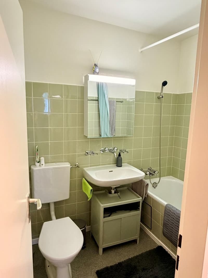 Grosszügige 1-Zimmerwohnung (3)