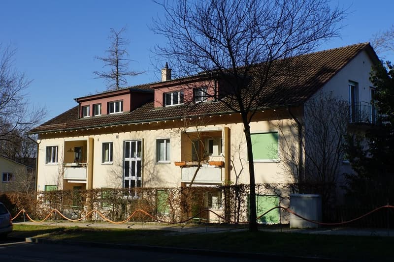 Helle 1-Zimmerwohnung an ruhiger Lage in Riehen (1)