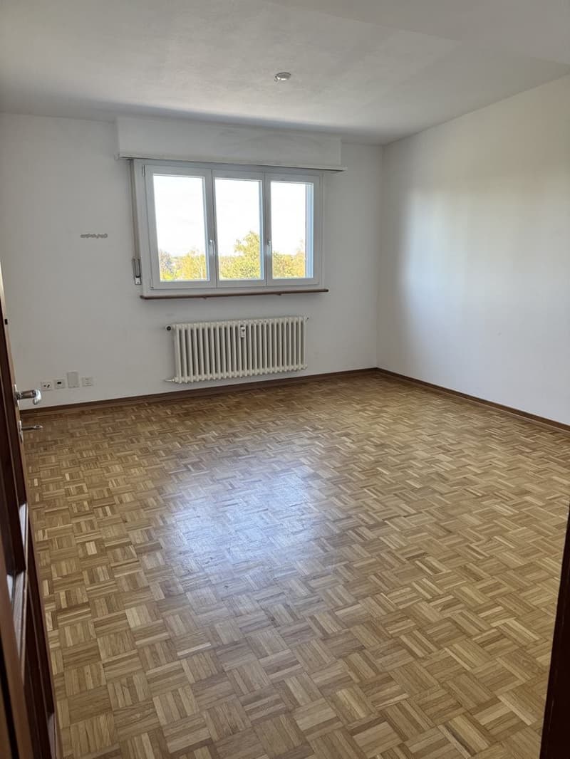 Helle 1-Zimmerwohnung an ruhiger Lage in Riehen (5)