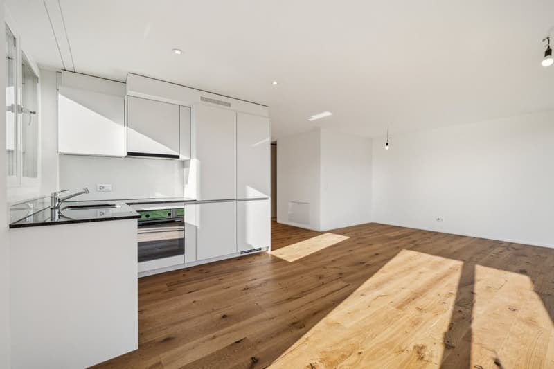 Moderne Neubauwohnung (3)