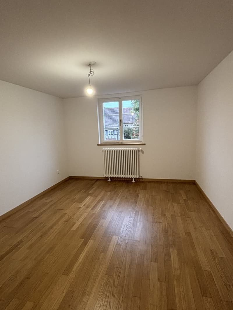 Sanierte 2-Zimmerwohnung an zentraler Lage in Allschwil (4)