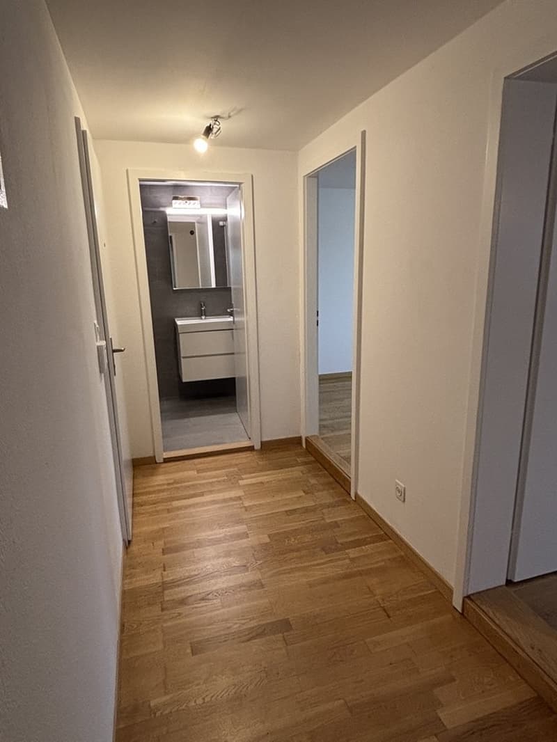 Sanierte 2-Zimmerwohnung an zentraler Lage in Allschwil (6)