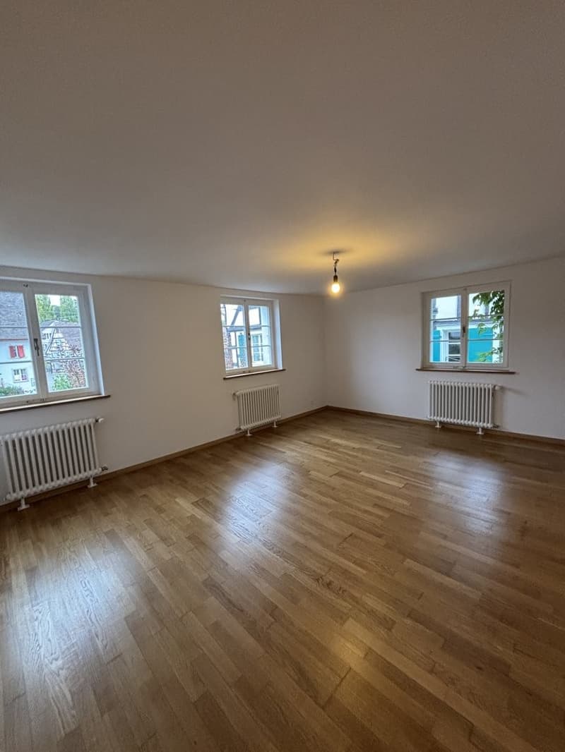 Sanierte 2-Zimmerwohnung an zentraler Lage in Allschwil (5)