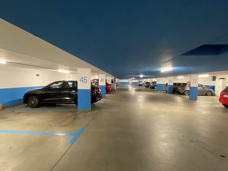 Parking space in a central location in a well-maintained parking hall (2)