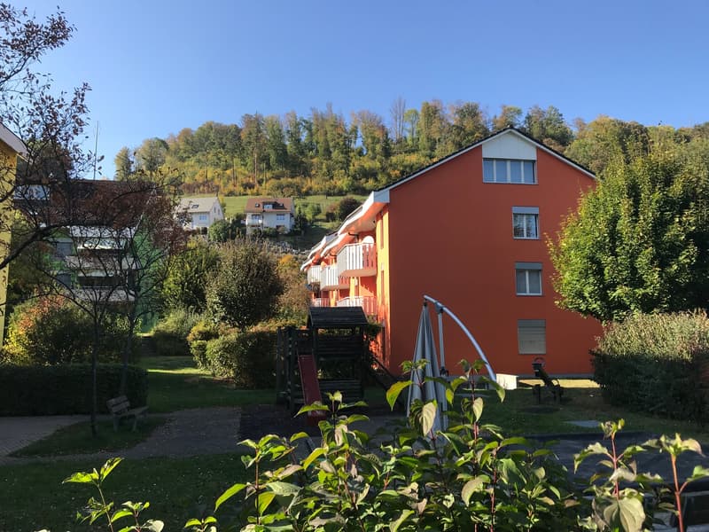 Frenkenstrasse 31