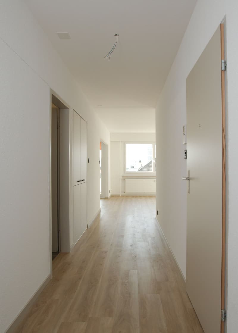Attraktive, moderne 3.5 Wohnung an guter Lage nähe Wiesenplatz (2)