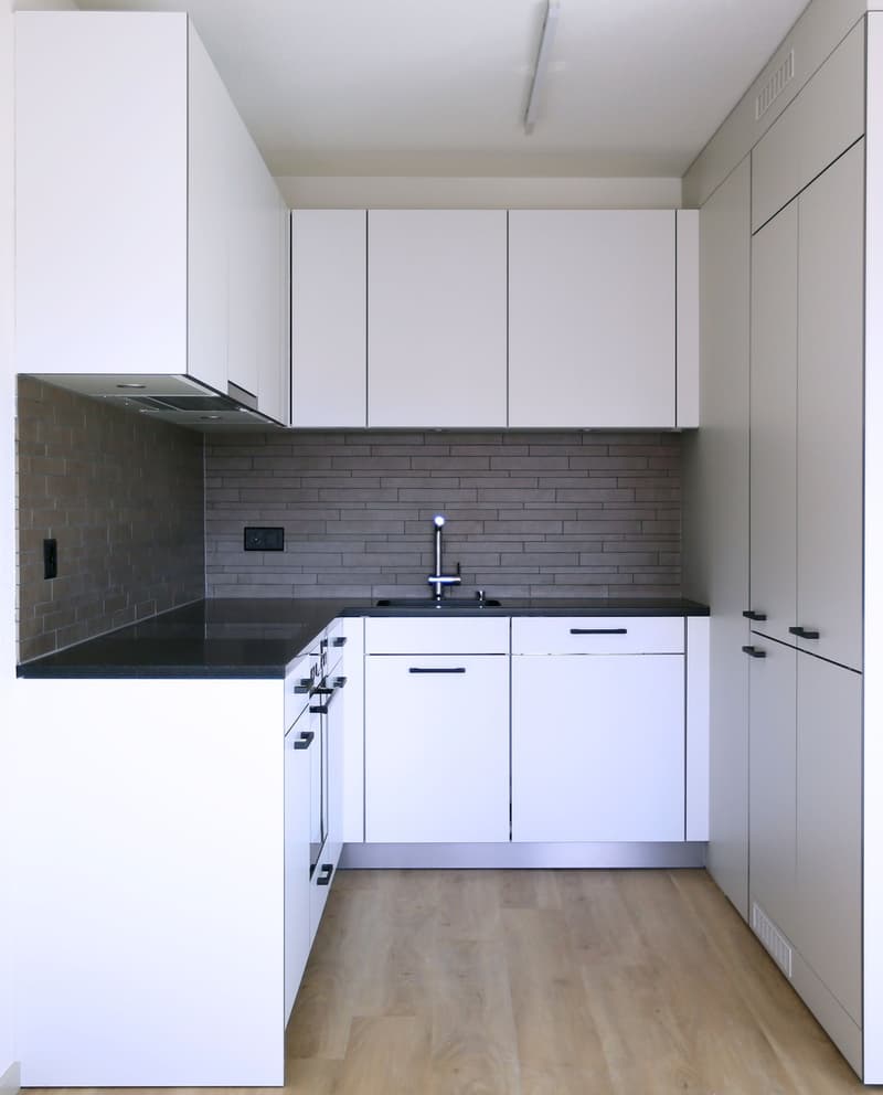 Attraktive, moderne 3.5 Wohnung an guter Lage nähe Wiesenplatz (3)