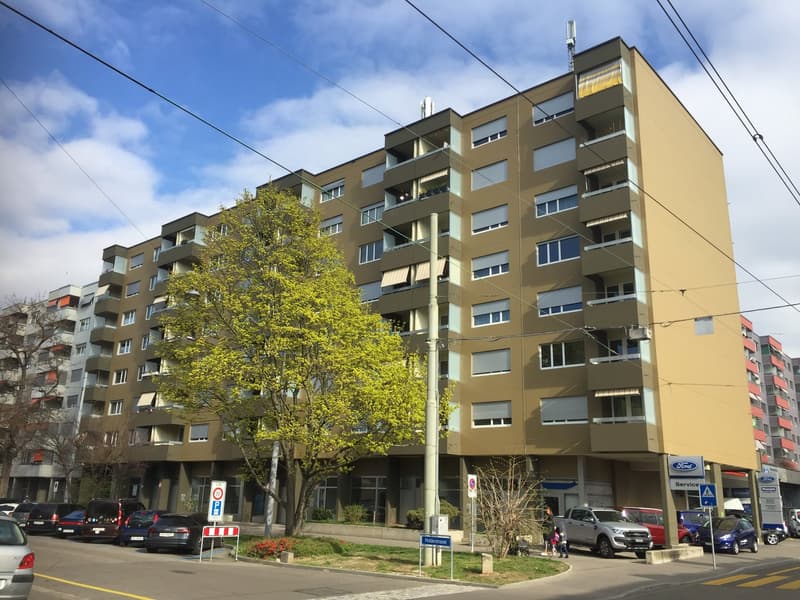 Attraktive, moderne 3.5 Wohnung an guter Lage nähe Wiesenplatz (7)