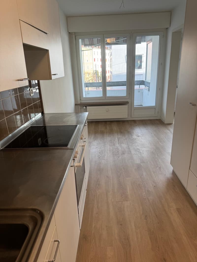 Geräumige Wohnung mit Balkon am Wiesenplatz (4)