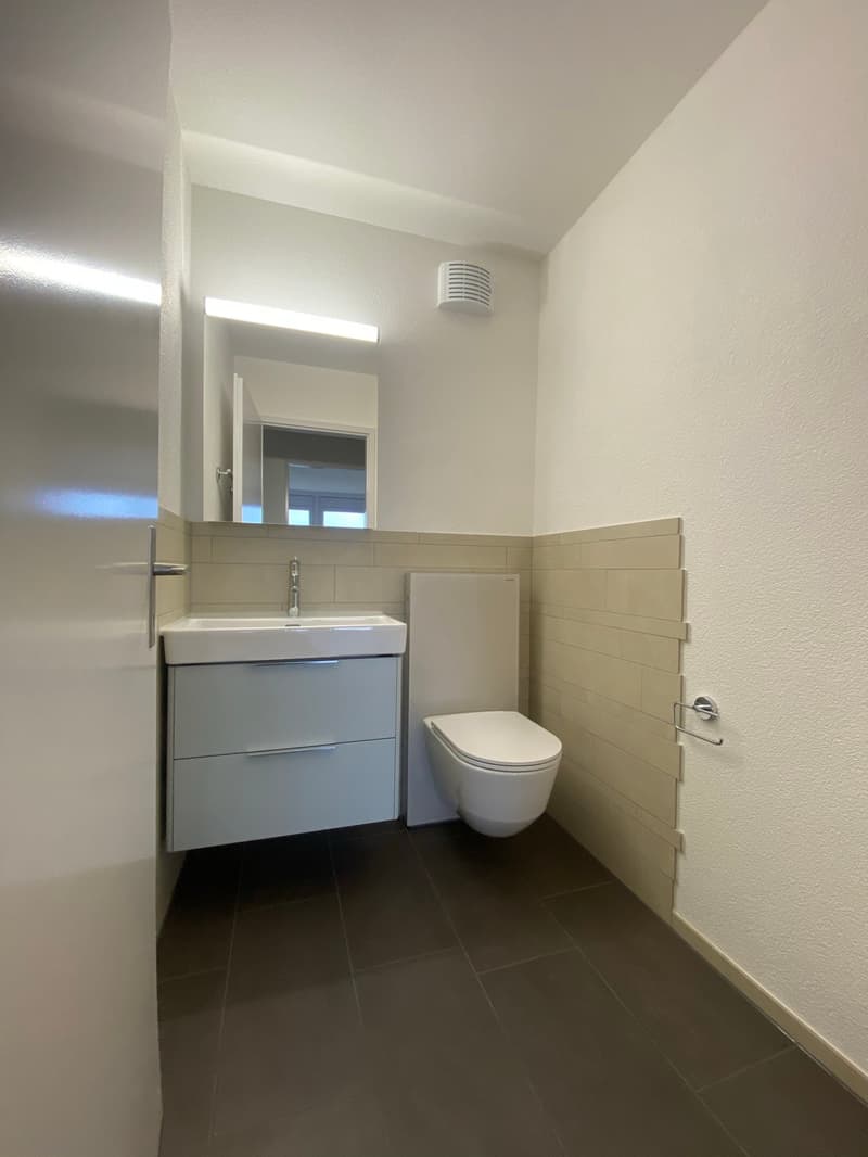 Sanierte 4.5-Zimmerwohnung mit sehr grosser Terrasse (8)