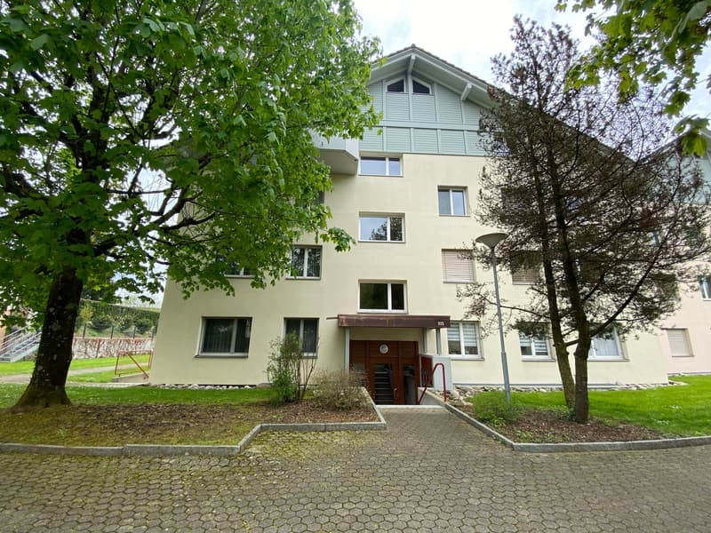 Widenmattstrasse