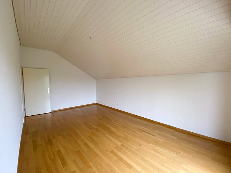 Grosszügige Wohnung mit Hobbyraum in grüner Umgebung (9)
