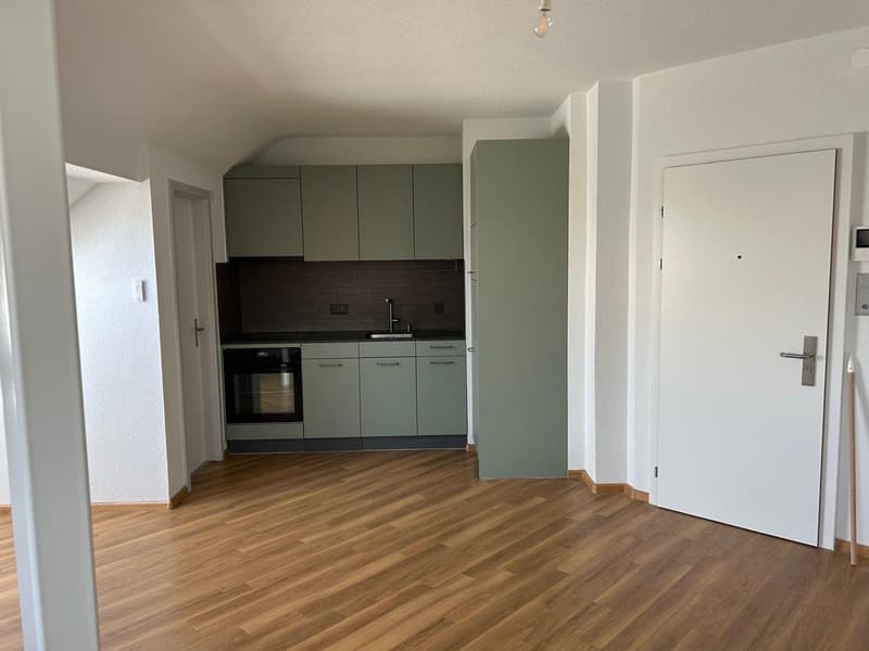 Attraktive Singlewohnung nähe Novartis Campus (4)