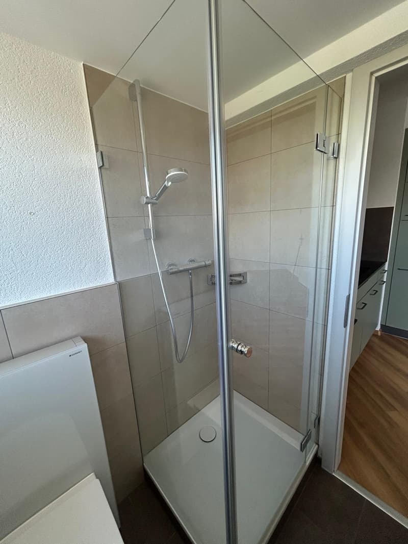 Attraktive Singlewohnung nähe Novartis Campus (6)