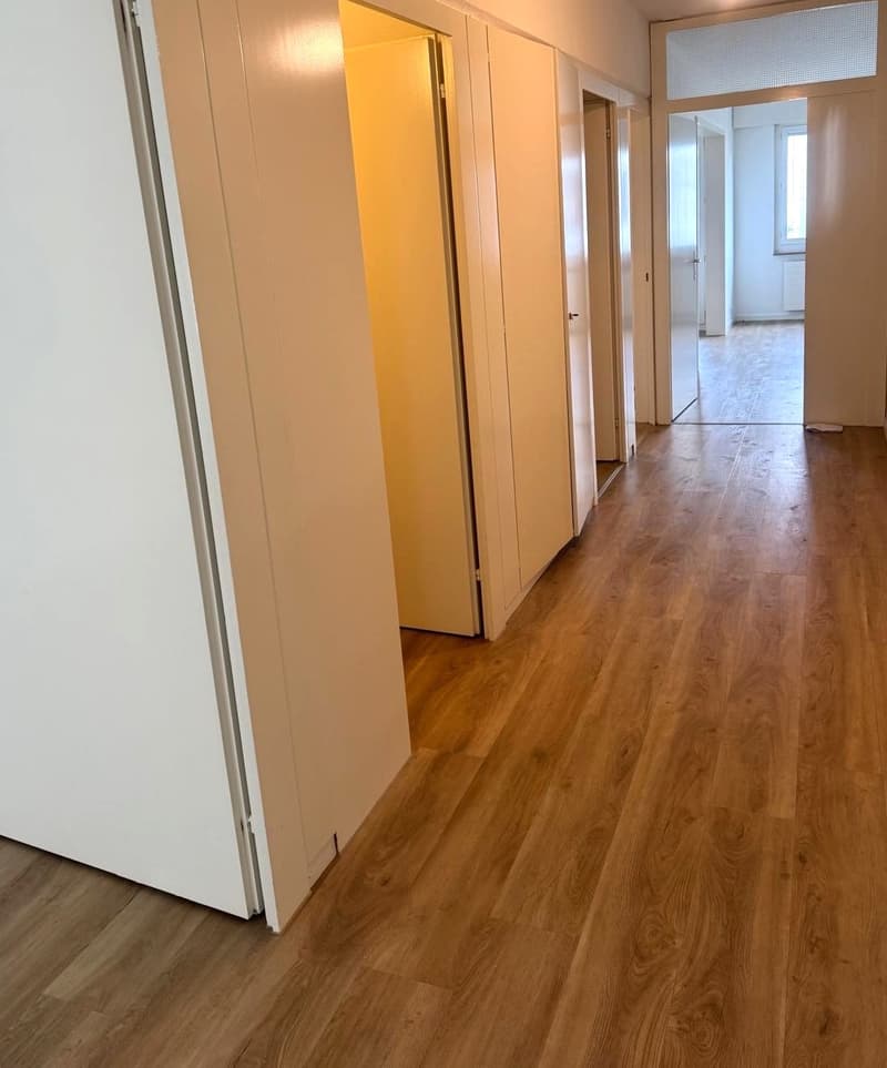 Grosszügige 3.5 Zimmerwohnung am Wiesenplatz mit 2 Balkonen (4)