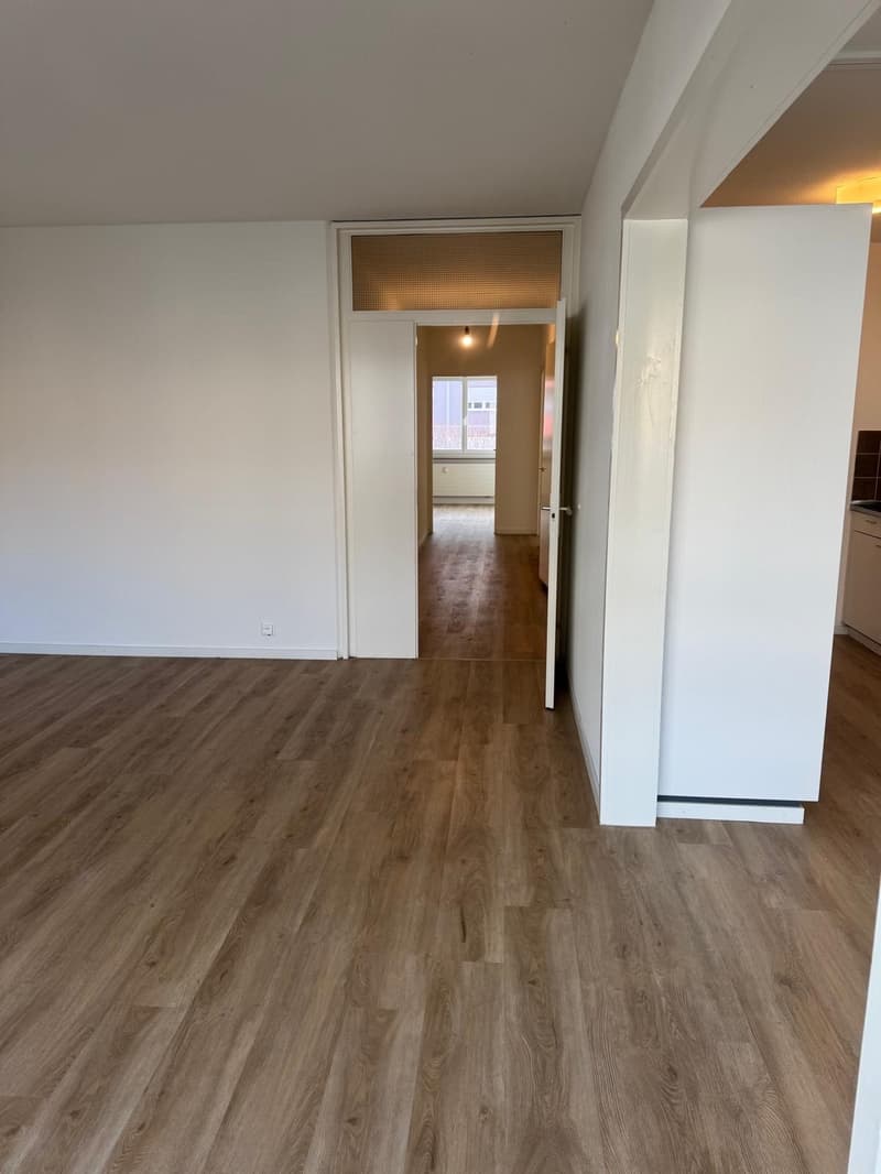 Grosszügige 3.5 Zimmerwohnung am Wiesenplatz mit 2 Balkonen (5)