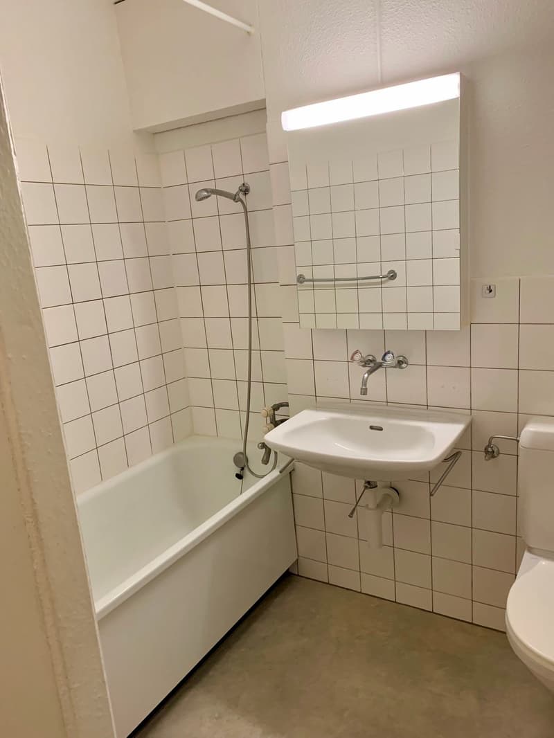 Grosszügige 3.5 Zimmerwohnung am Wiesenplatz mit 2 Balkonen (9)