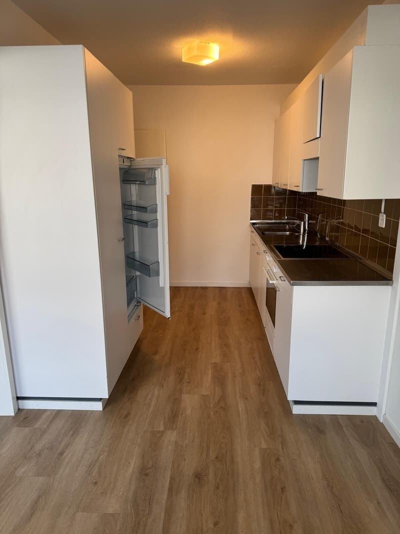 Grosszügige 3.5 Zimmerwohnung am Wiesenplatz mit 2 Balkonen (2)