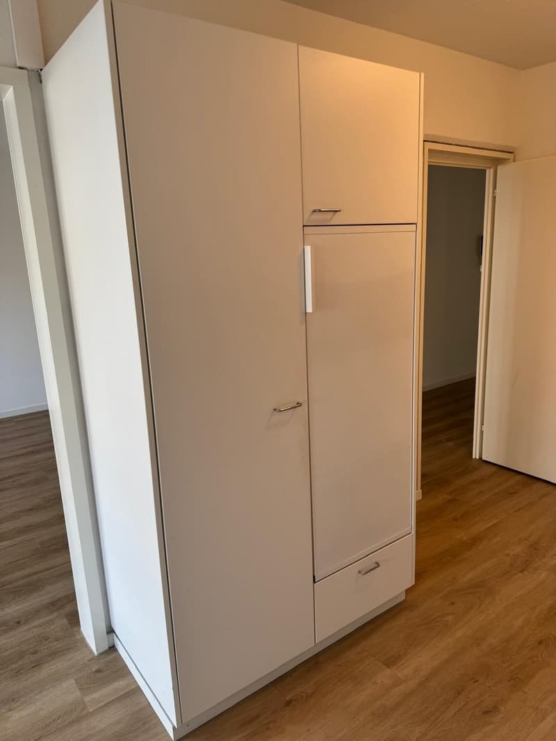 Grosszügige 3.5 Zimmerwohnung am Wiesenplatz mit 2 Balkonen (3)