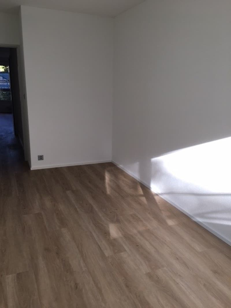 Sanierte, komfortable 1 Zimmerwohnung im Kleinbasel (5)