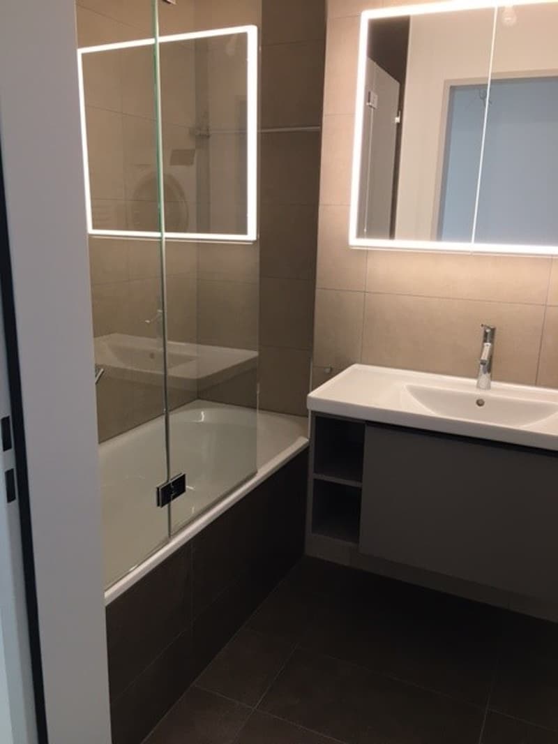 Sanierte, komfortable 1 Zimmerwohnung im Kleinbasel (3)
