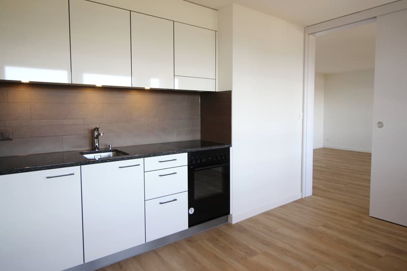 Modern - Saniert - in Kaiseraugst (2)
