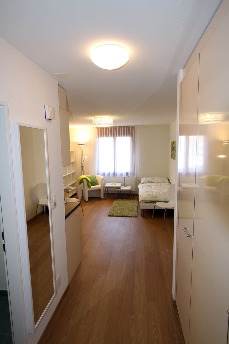 Singlewohnung - Möbliert und Ausgestattet - Modern (5)